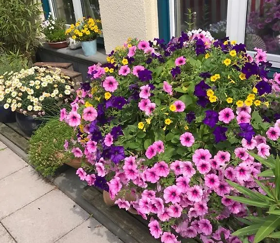 Hotel Am Kastell Goch